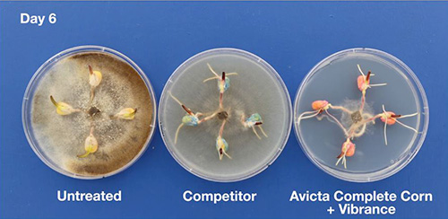 Product and marketing Petri dishes